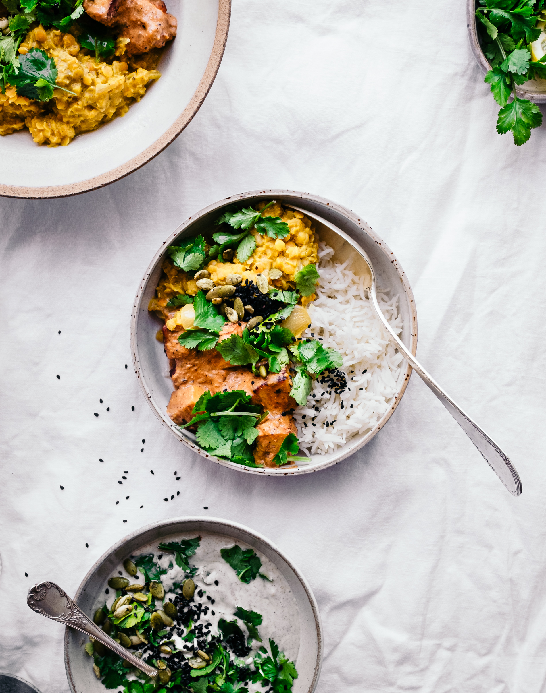 Paneer mit Reis und Linsen Curry